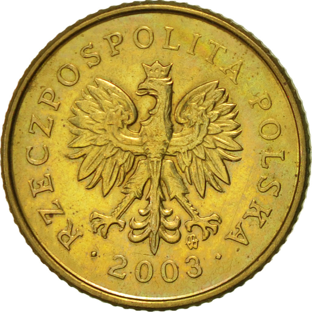 Coin, Poland, Grosz, 2003, Warsaw, AU(55-58), Brass, KM:276