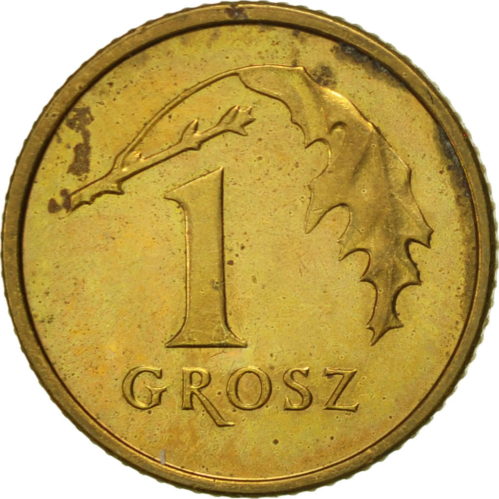 Coin, Poland, Grosz, 2003, Warsaw, AU(55-58), Brass, KM:276