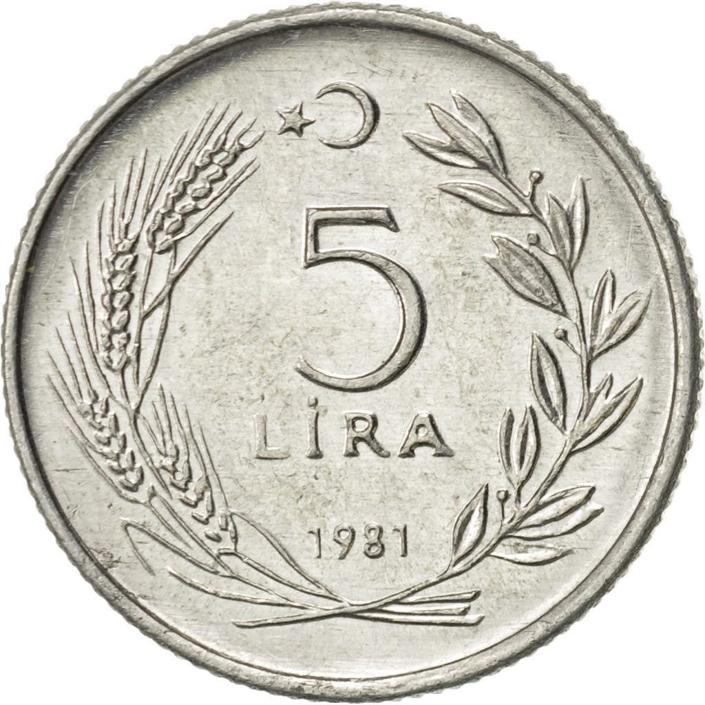 Moneta, Turchia, 5 Lira, 1981, BB+, Alluminio, KM:944