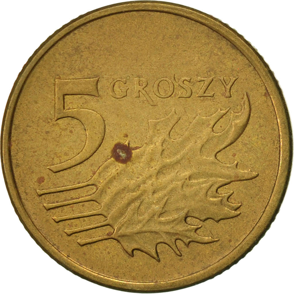 Coin, Poland, 5 Groszy, 2004, Warsaw, EF(40-45), Brass, KM:278