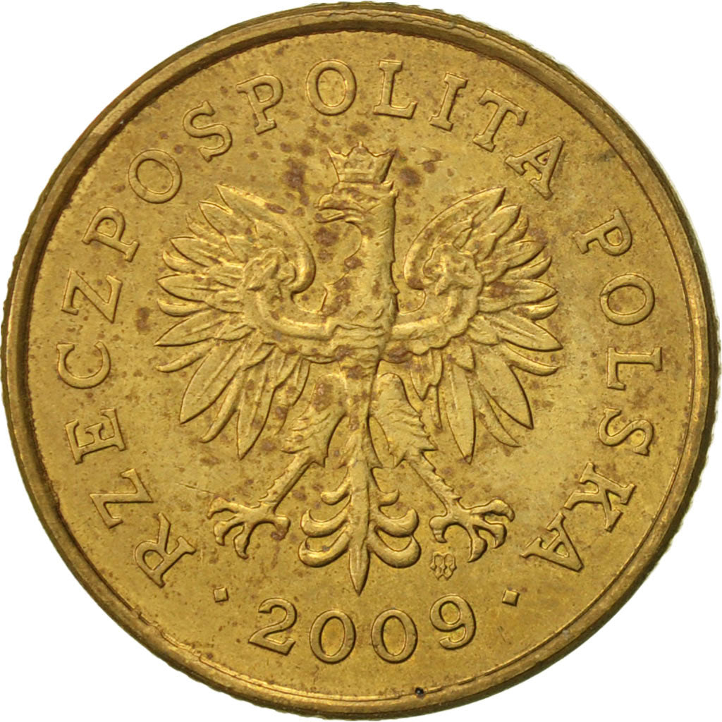 Coin, Poland, 5 Groszy, 2009, Warsaw, AU(50-53), Brass, KM:278