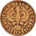 Moneta, Polonia, 5 Groszy, 1931, Warsaw, BB, Bronzo, KM:10a