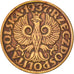 Poland, 2 Grosze, 1937, Warsaw, EF(40-45), Bronze, KM:9a