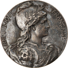 Francja, Medal, Chambre des Députés, Camille Pelletan, Bouches-du-Rhône