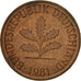 Coin, GERMANY - FEDERAL REPUBLIC, 2 Pfennig, 1981, Karlsruhe, EF(40-45), Copper