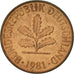 Coin, GERMANY - FEDERAL REPUBLIC, 2 Pfennig, 1981, Hambourg, EF(40-45), Copper