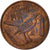 Moneta, Kajmany, Elizabeth II, Cent, 1972, British Royal Mint, EF(40-45)