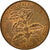 Moneda, Ruanda, 5 Francs, 1977, British Royal Mint, MBC, Bronce, KM:13