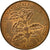 Moneta, Ruanda, 5 Francs, 1977, British Royal Mint, EF(40-45), Bronze, KM:13