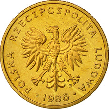 Poland, 5 Zlotych, 1986, Warsaw, MS(60-62), Brass, KM:81.2