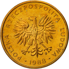Pologne, 5 Zlotych, 1988, Warsaw, SUP+, Laiton, KM:81.2