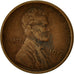 Moneta, Stati Uniti, Lincoln Cent, Cent, 1919, U.S. Mint, San Francisco, MB+