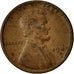 Coin, United States, Lincoln Cent, Cent, 1949, U.S. Mint, Denver, VF(20-25)