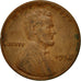 Moneta, Stati Uniti, Lincoln Cent, Cent, 1954, U.S. Mint, Philadelphia, MB+
