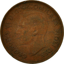 Coin, Australia, George VI, 1/2 Penny, 1951, EF(40-45), Bronze, KM:42