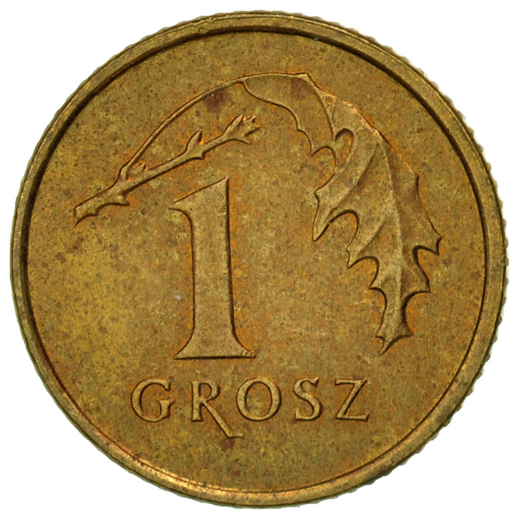 Coin, Poland, Grosz, 1998, Warsaw, EF(40-45), Brass, KM:276