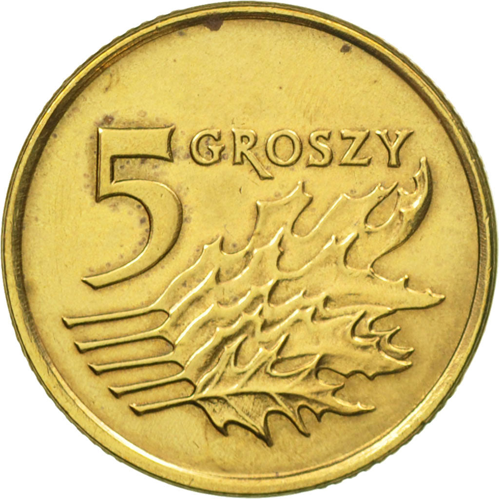Coin, Poland, 5 Groszy, 1991, Warsaw, AU(50-53), Brass, KM:278