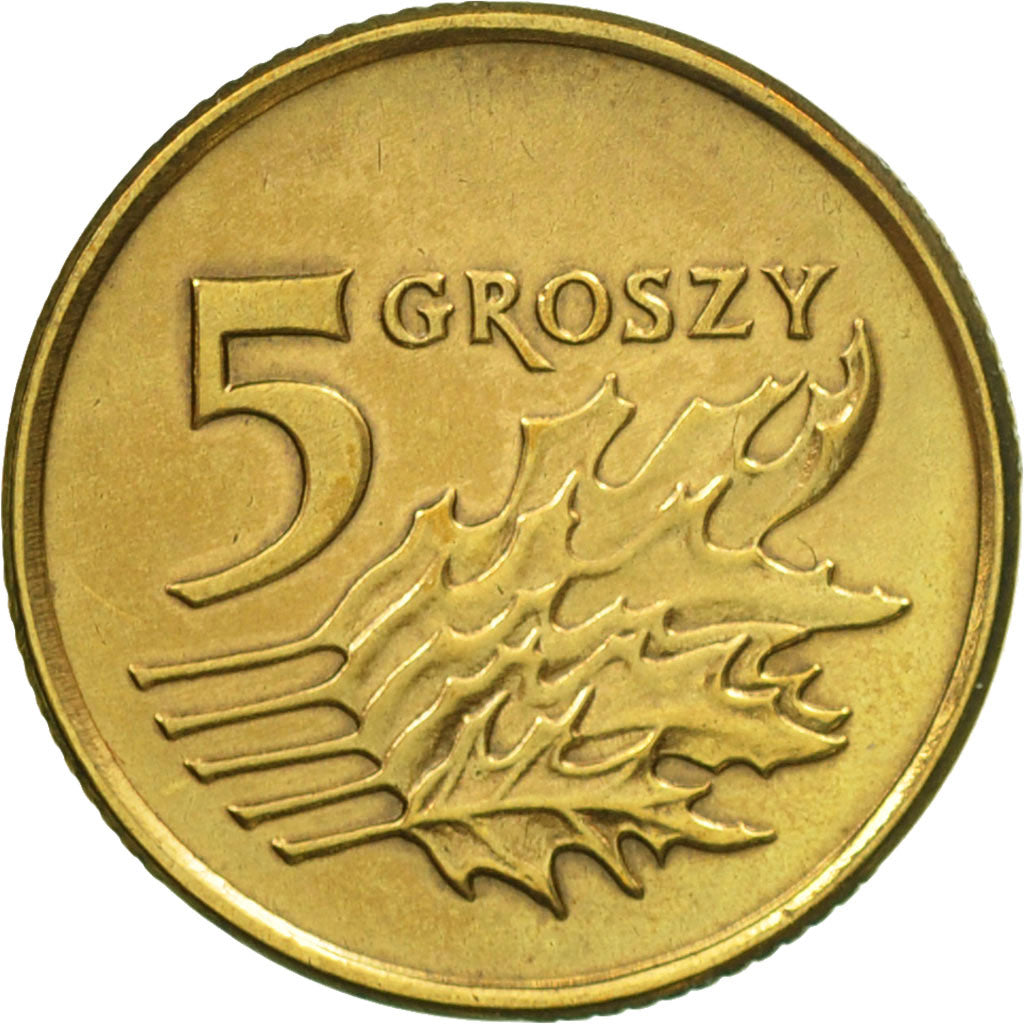 Coin, Poland, 5 Groszy, 1992, Warsaw, AU(50-53), Brass, KM:278