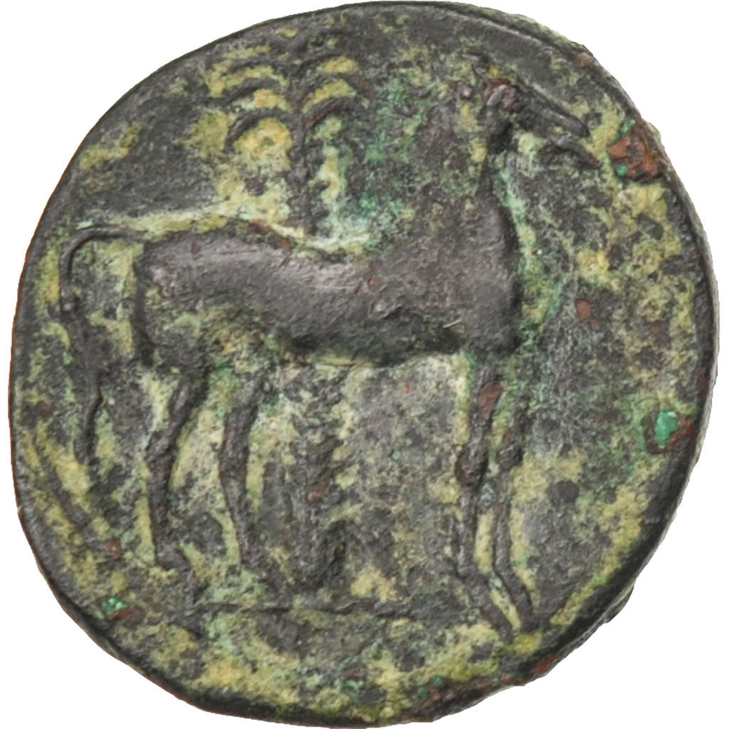 Coin, Carthage, Zeugitane, Bronze Unit, Carthage, AU(50-53), Copper