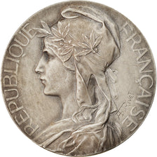 Francja, Medal, Union des Sapeurs Pompiers , Loire Inférieure, Rivet