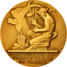 France, Medal, Électricité de France et gaz de France, Business & industry
