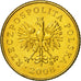 Coin, Poland, Grosz, 2008, Warsaw, MS(65-70), Brass, KM:276