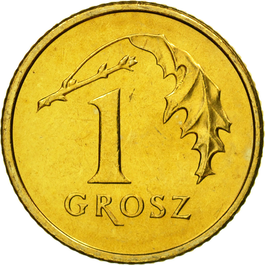 Coin, Poland, Grosz, 2008, Warsaw, MS(65-70), Brass, KM:276
