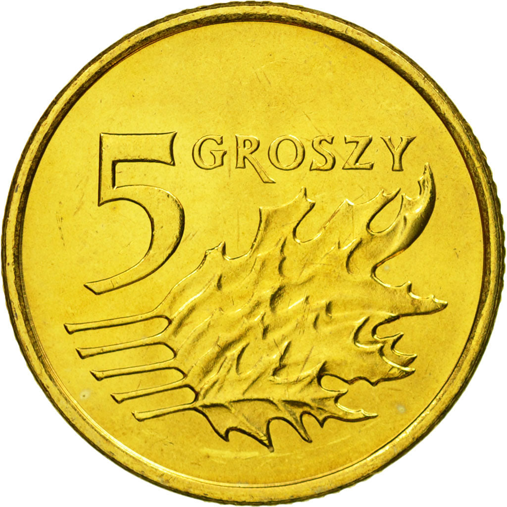 Coin, Poland, 5 Groszy, 2008, Warsaw, MS(65-70), Brass, KM:278