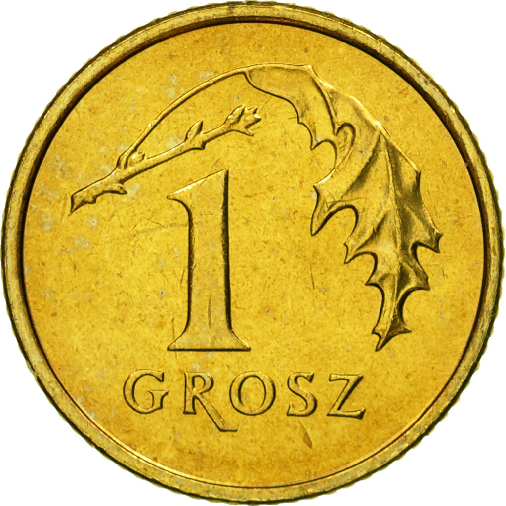 Monnaie, Pologne, Grosz, 2008, Warsaw, FDC, Laiton, KM:276