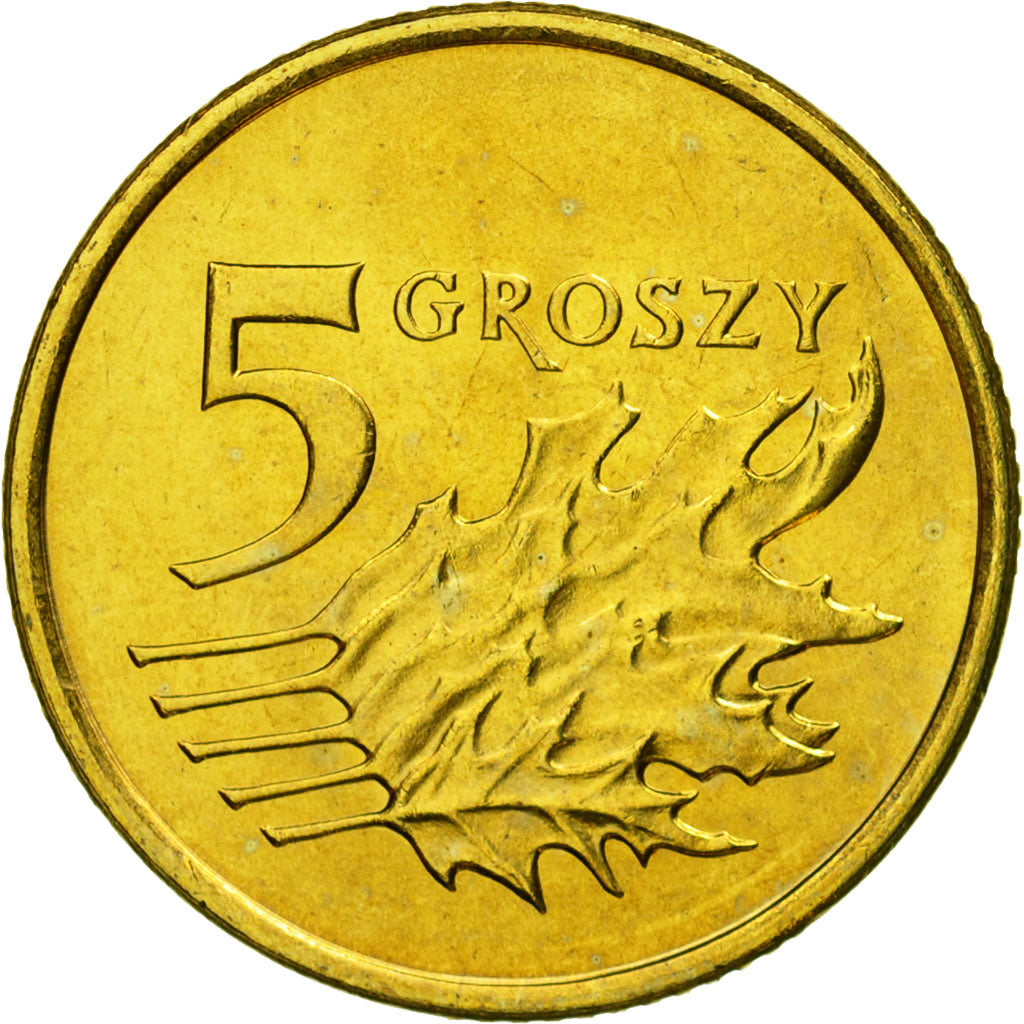 Coin, Poland, 5 Groszy, 2008, Warsaw, MS(65-70), Brass, KM:278