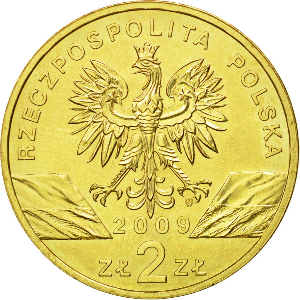 Coin, Poland, 2 Zlote, 2009, Warsaw, MS(64), Brass, KM:678