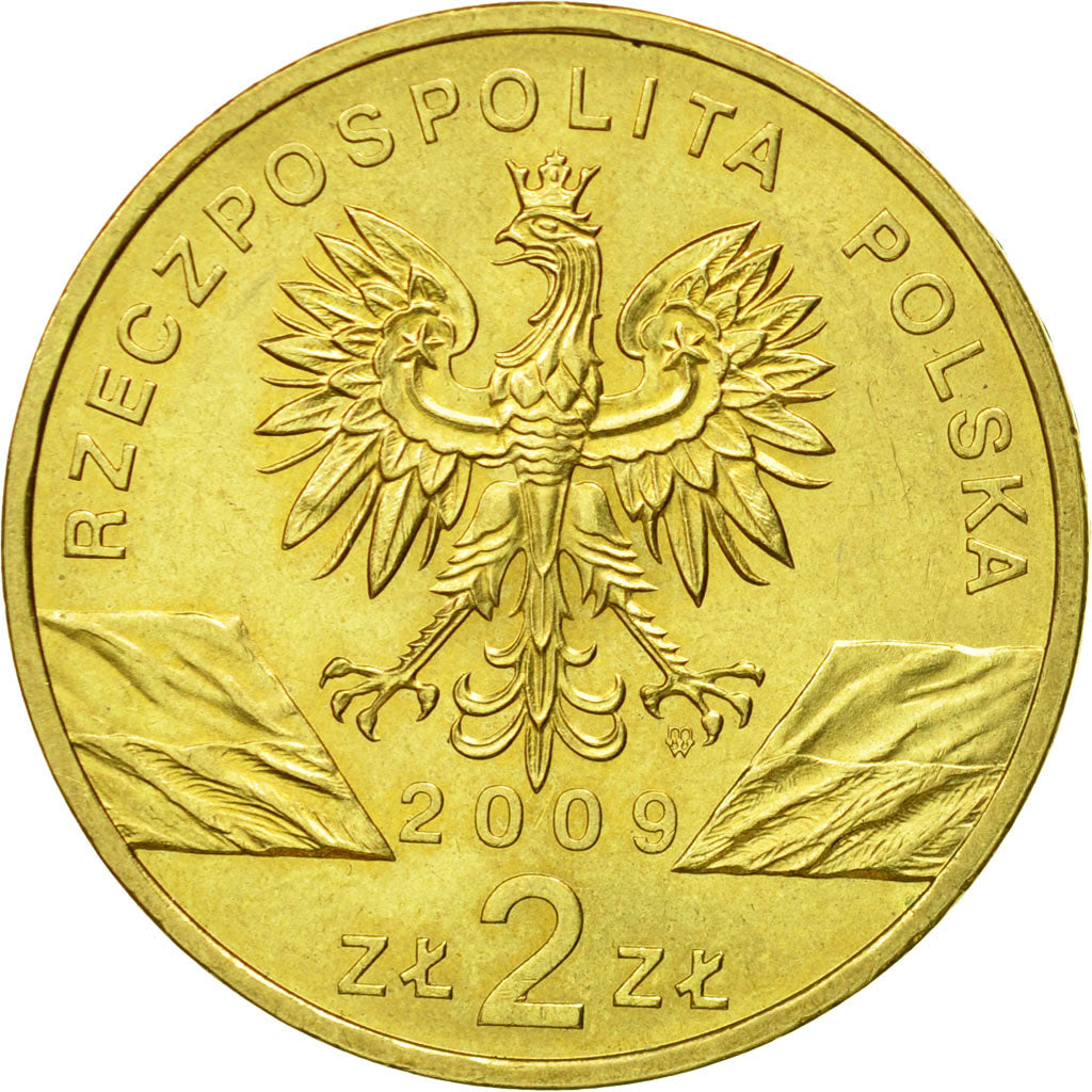 Coin, Poland, 2 Zlote, 2009, Warsaw, MS(63), Brass, KM:678