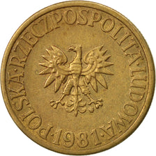 Coin, Poland, 5 Zlotych, 1981, Warsaw, EF(40-45), Brass, KM:81.1