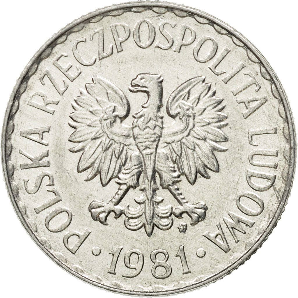 Coin, Poland, Zloty, 1981, Warsaw, EF(40-45), Aluminum, KM:49.1