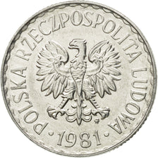 Coin, Poland, Zloty, 1981, Warsaw, EF(40-45), Aluminum, KM:49.1