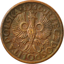Coin, Poland, Grosz, 1936, Warsaw, EF(40-45), Bronze, KM:8a