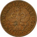 Coin, Poland, Grosz, 1938, Warsaw, EF(40-45), Bronze, KM:8a