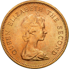 Coin, Falkland Islands, Elizabeth II, 1/2 Penny, 1982, MS(63), Bronze, KM:1