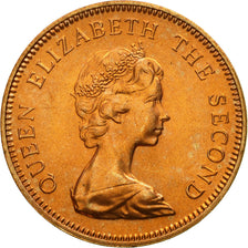Coin, Falkland Islands, Elizabeth II, Penny, 1982, MS(63), Bronze, KM:2