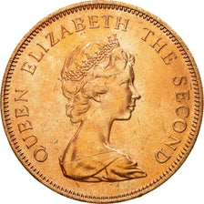 Coin, Falkland Islands, Elizabeth II, 2 Pence, 1982, MS(63), Bronze, KM:3