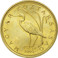 Coin, Hungary, 5 Forint, 2003, Budapest, AU(55-58), Nickel-brass, KM:694