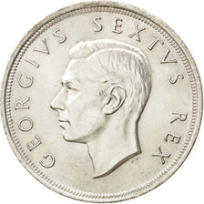 Moneda, Sudáfrica, George VI, 5 Shillings, 1952, EBC+, Plata, KM:41