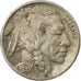 Coin, United States, Buffalo Nickel, 5 Cents, 1935, U.S. Mint, Philadelphia
