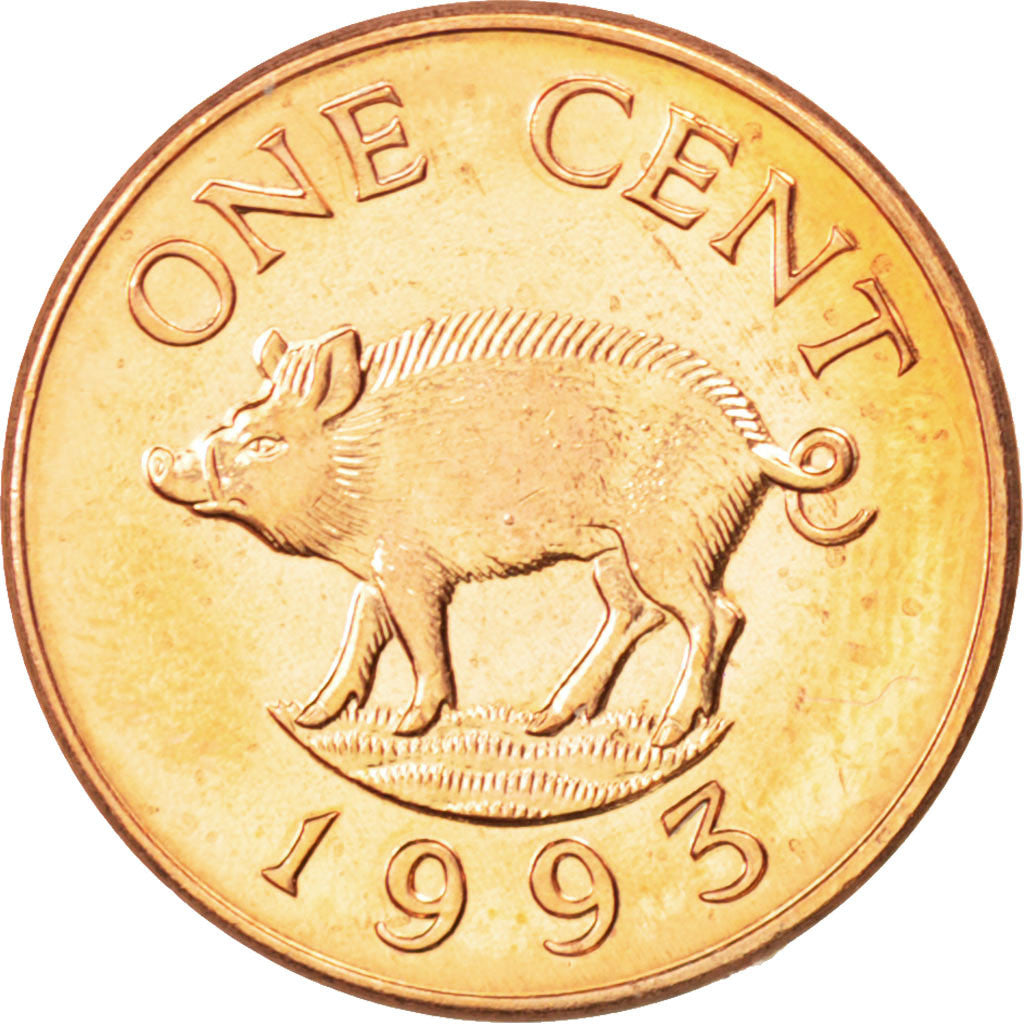 BERMUDA, Cent, 1993, KM #44b, MS(64), Copper Plated Zinc, 19, 2.48