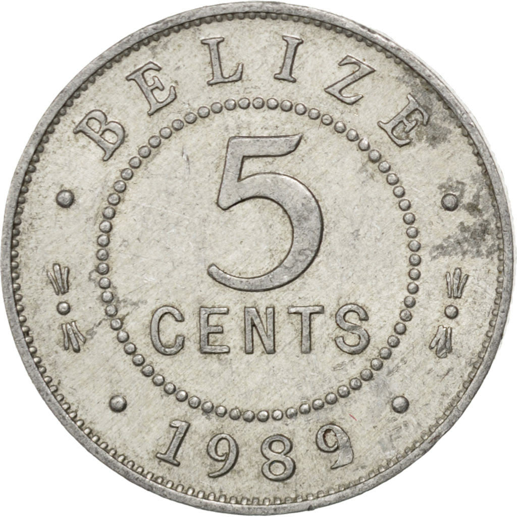 Coin, Belize, 5 Cents, 1989, AU(55-58), Aluminum, KM:34a