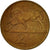 Coin, South Africa, 2 Cents, 1983, EF(40-45), Bronze, KM:83