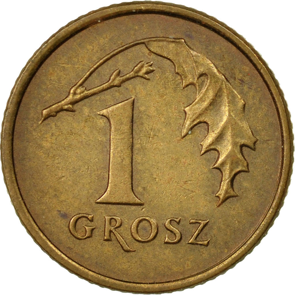 Coin, Poland, Grosz, 1990, Warsaw, EF(40-45), Brass, KM:276