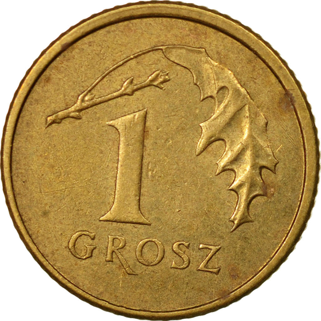 Coin, Poland, Grosz, 2006, Warsaw, EF(40-45), Brass, KM:276