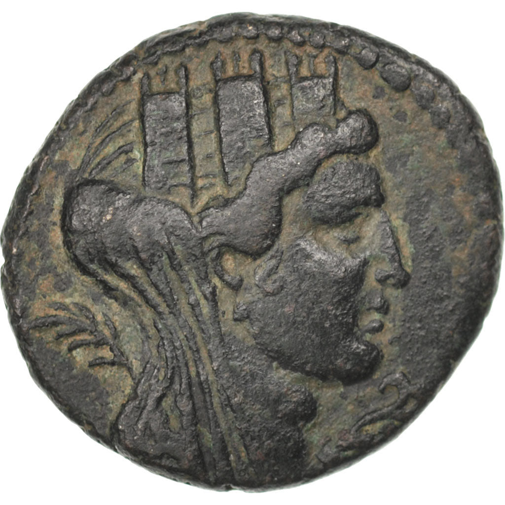 Chalkous, Tyre, SPL-, Bronzo