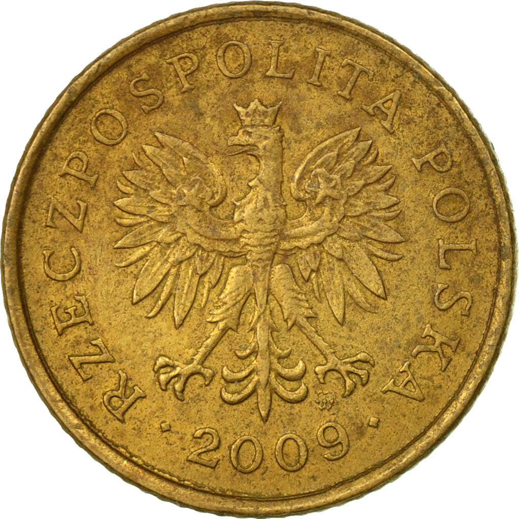 Coin, Poland, Grosz, 2009, Warsaw, EF(40-45), Brass, KM:276
